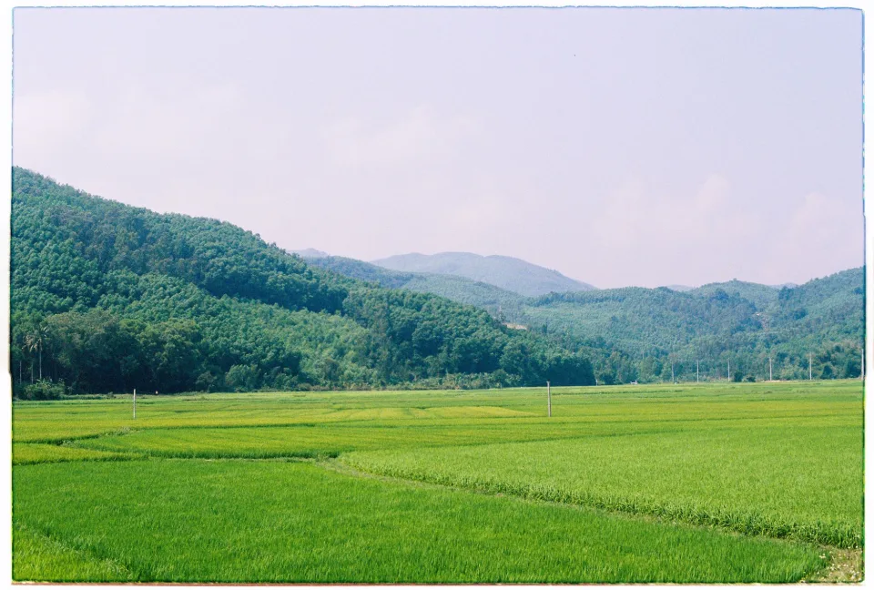 Kho gạo của Nguyễn Văn Đảo